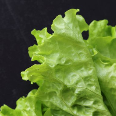 Yeşil salata. Seçilen odak.