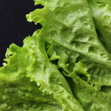 Yeşil salata. Seçilen odak.