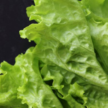 Yeşil salata. Seçilen odak.