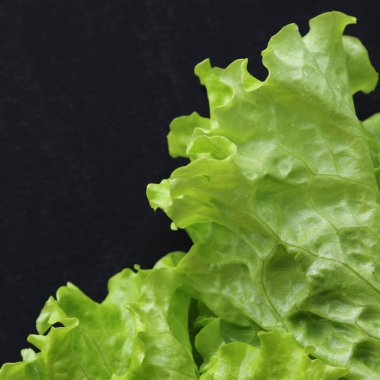 Yeşil salata. Seçilen odak.