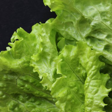 Yeşil salata. Seçilen odak.