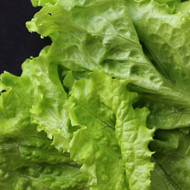 Yeşil salata. Seçilen odak.