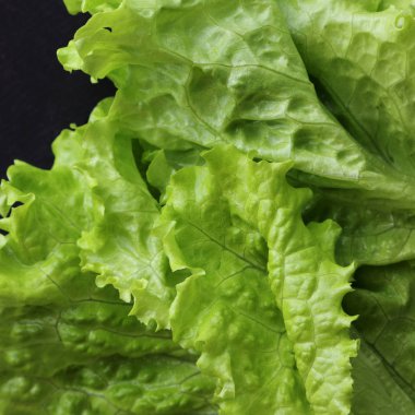 Yeşil salata. Seçilen odak.