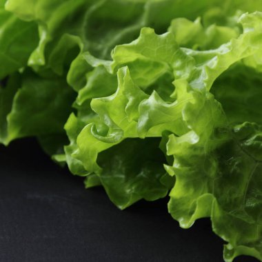 Yeşil salata. Seçilen odak.