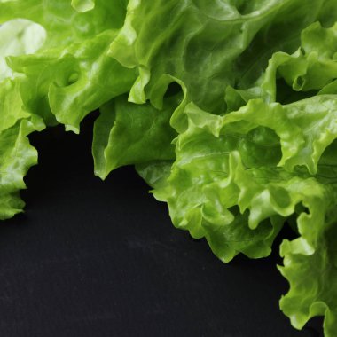 Yeşil salata. Seçilen odak.