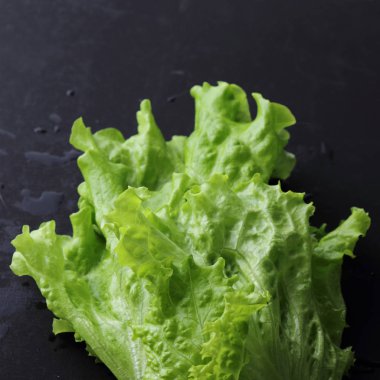 Yeşil salata. Seçilen odak.