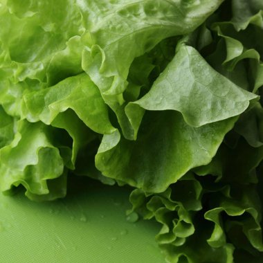 Yeşil salata. Seçilen odak.