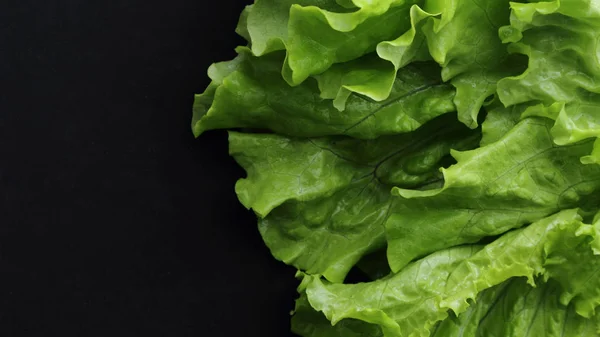 Groene Salade Met Geselecteerde Focus Zwarte Achtergrond — Stockfoto