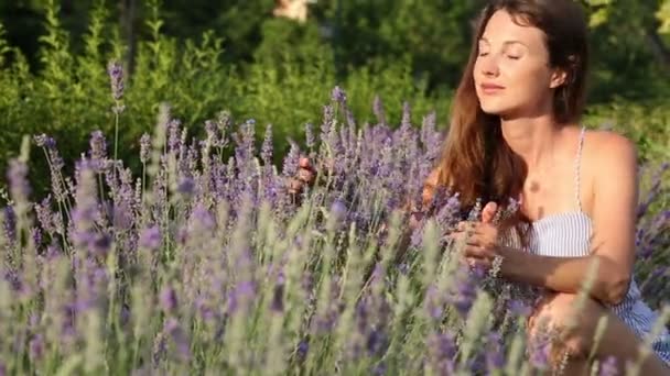 Mujer Está Disfrutando Campo Lavanda — Vídeos de Stock