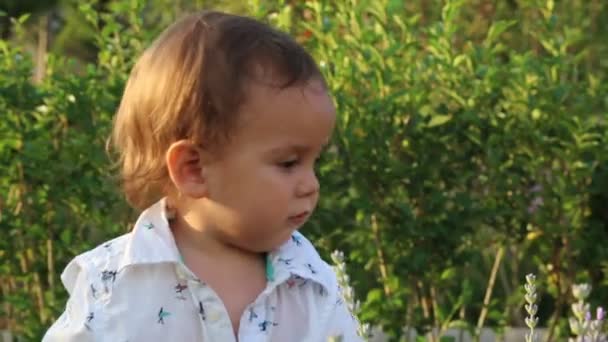 petit enfant se sentant heureux sur le champ de lavande 