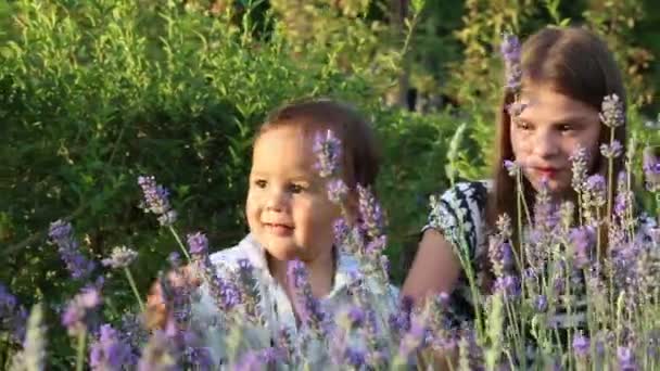 Liten Pojke Och Ung Flicka Leker Parken Med Lavendel — Stockvideo