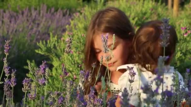 小男孩和小女孩在公园里与薰衣草玩耍 — 图库视频影像