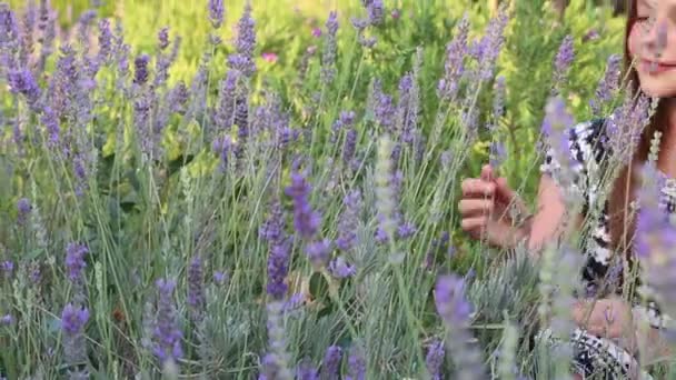 Klein Meisje Genieten Van Een Lavendel — Stockvideo