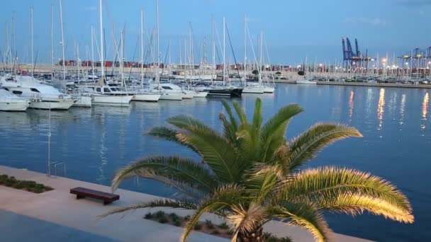 Valencia Spanien Juni 2018 Pir Med Förtöjda Yachter Och Segel — Stockvideo
