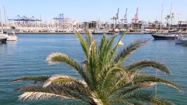 Valencia Spanje Juni 2018 Pier Met Afgemeerde Jachten Zeilboten Van — Stockvideo