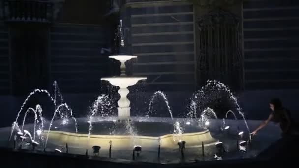 Beautiful Fountain Night Time Illumination — Stock Video