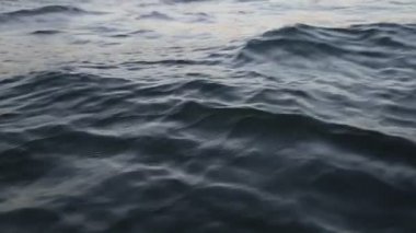 Deniz dalgaları. Seçilen odak.