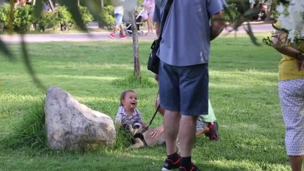 Kleine Jongen Jong Meisje Spelen Outdoor Met Hond — Stockvideo