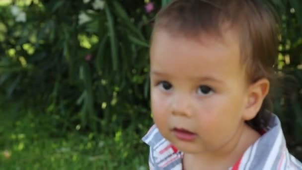 Bedårande Liten Pojke Promenader Parken — Stockvideo