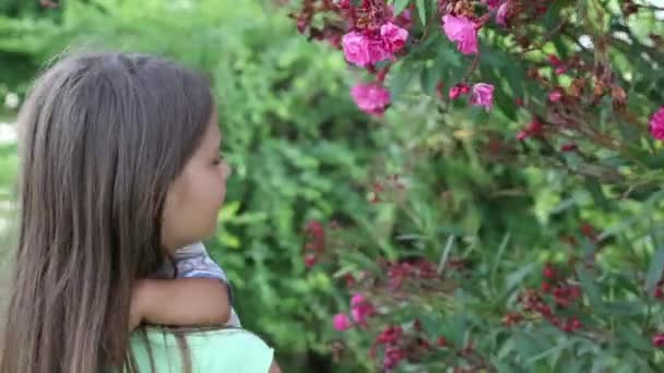 Petit Garçon Jeune Fille Jouer Plein Air Dans Parc — Video