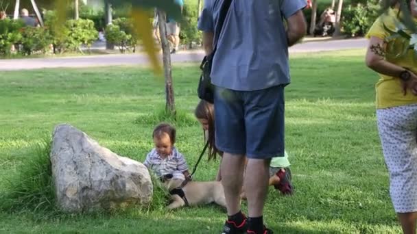 小男孩和小女孩在户外与狗玩耍 — 图库视频影像