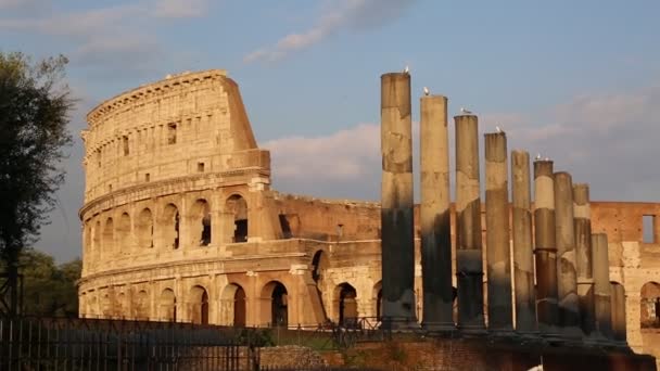 Detaljer Den Berömda Amphitheatrum Flavium Känd Som Colosseum Rom Italien — Stockvideo