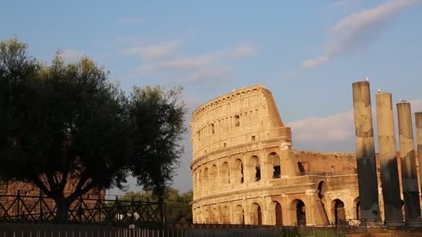 ローマ イタリア 2019年4月17日 ローマ イタリアのコロッセオとして知られている有名な円形フラビウムの詳細 — ストック動画