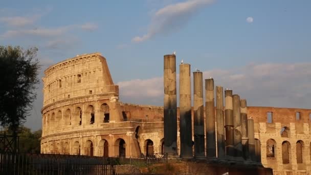 Roma Italia Abril 2019 Detalles Del Famoso Amphitheatrum Flavium Conocido — Vídeos de Stock