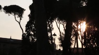Vatikan, Roma ve İtalya 'da ağaç ve binalardan oluşan güzel bir siluetle yaz günbatımı