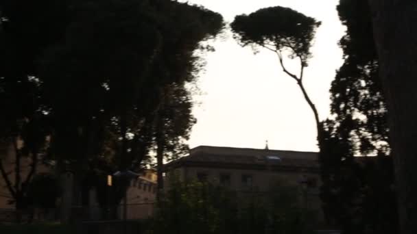 Summer Sunset Beautiful Silhouette Trees Buildings Vatican Rome Italy — Stock Video