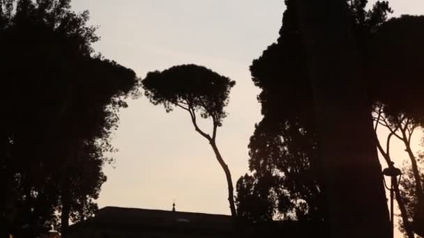 Sommarsolnedgång Med Vacker Siluett Träd Och Byggnader Vatikanen Rom Italien — Stockvideo