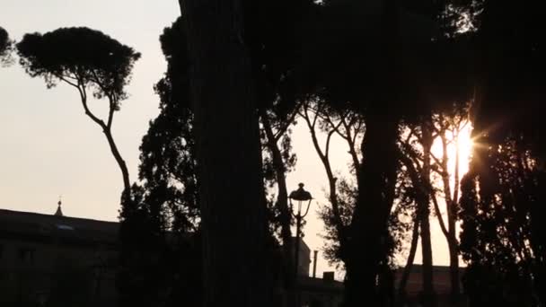 Sommarsolnedgång Med Vacker Siluett Träd Och Byggnader Vatikanen Rom Italien — Stockvideo