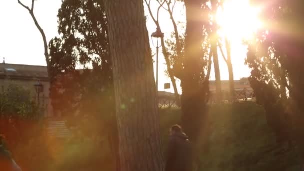 意大利罗马 梵蒂冈 夏日的落日 美丽的树木和建筑物轮廓 — 图库视频影像