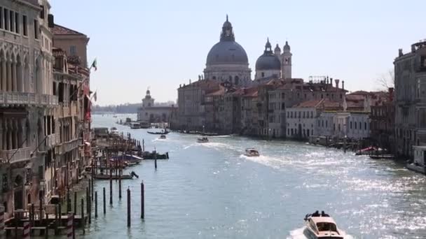 ヴェネツィア イタリア 2019年4月19日 ヴェネツィア 市民や観光客の街の観光スポットに水上バス ヴァポレット 運河ボート 蒸気船 公共交通機関に使用されるモーターボート からの眺め — ストック動画