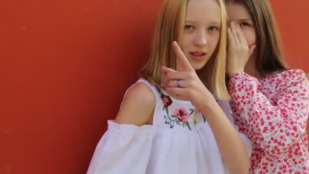ヨーロッパの十代の女の子は ムラーノ ヴェネト イタリアの夏の日に屋外でおしゃべりしています — ストック動画