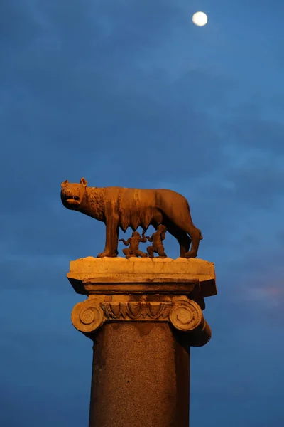 Roma Italia Aprile 2019 Veduta Notturna Sul Lupo Capitolino Lupa — Foto Stock