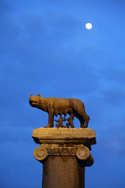 Rome Italien April 2019 Nattbeskåda Capitoline Wolf Lupa Capitolina Matning — Stockfoto