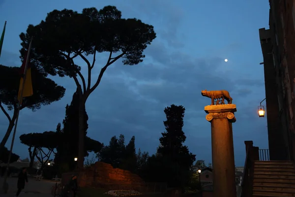 ローマ イタリア 2019年4月17日 カピトリン ウルフ カピトリンナ の夜景ロムルスとレムスを養う ローマの都市の創設者 カピトリンヒル — ストック写真