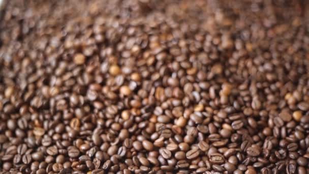 Hnědopečené Kávové Boby Tvoří Směs Arabica Robuststa Vybrané Zaměření — Stock video