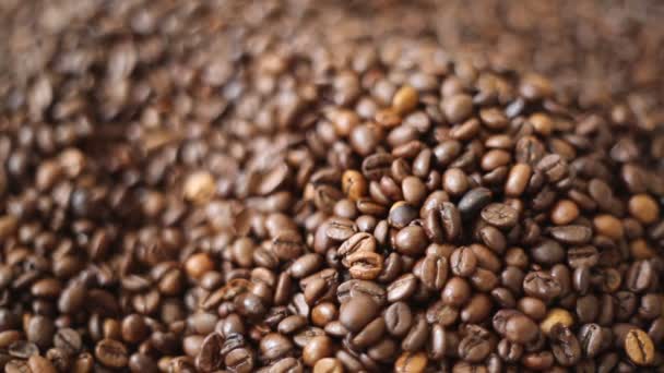 Chicchi Caffè Torrefatto Marrone Mix Arabica Robusta — Video Stock