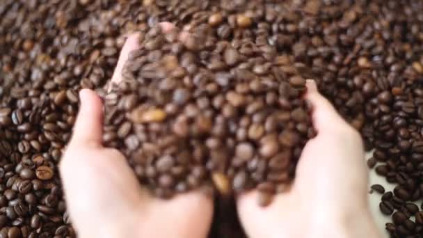 Chicchi Caffè Torrefatto Marrone Mix Arabica Robusta — Video Stock