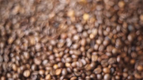 Braun Geröstete Kaffeebohnen Ist Eine Mischung Aus Arabica Und Robusta — Stockvideo