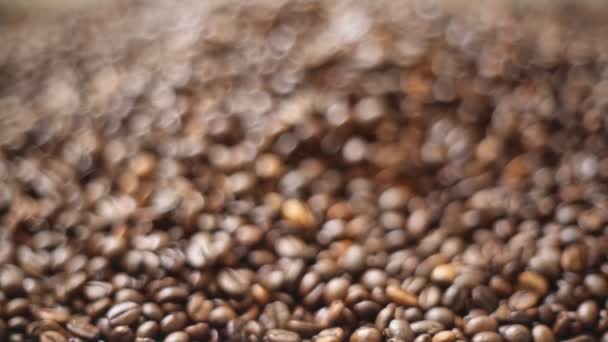 Chicchi Caffè Torrefatto Marrone Mix Arabica Robusta — Video Stock