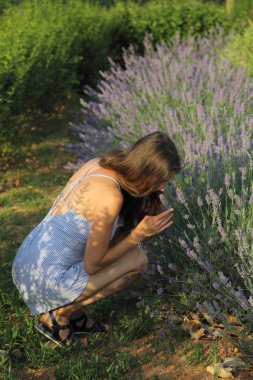 Model lavanta alanında