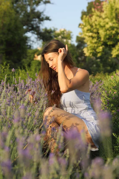 Mujer Joven Está Disfrutando Una Lavanda —  Fotos de Stock