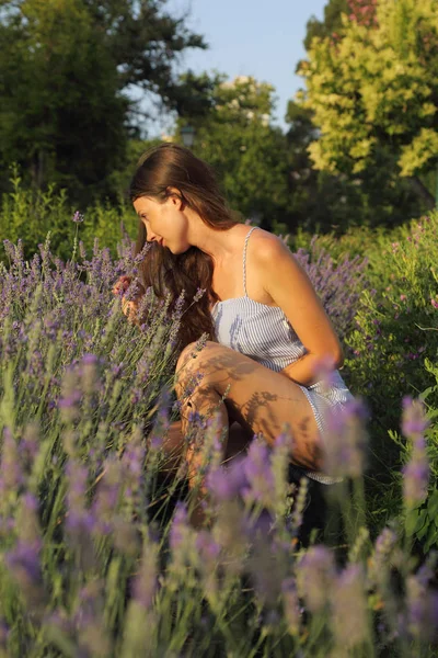 Mujer Joven Está Disfrutando Una Lavanda —  Fotos de Stock