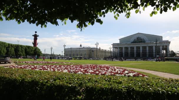 Saint Petersburg Rússia Junho 2019 Pessoas Estão Andando Parque Durante — Vídeo de Stock