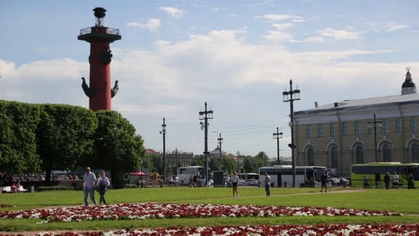 San Petersburg Rusia Junio 2019 Gente Está Caminando Por Parque — Vídeos de Stock