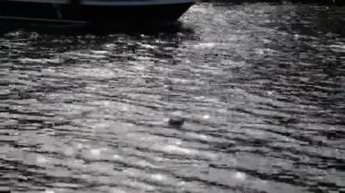 Güneşli bir yaz gününde güneş ışınları nehre yansıyor. Seçili odak