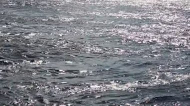 Güneşli bir yaz gününde güneş ışınları nehre yansıyor. Seçili odak